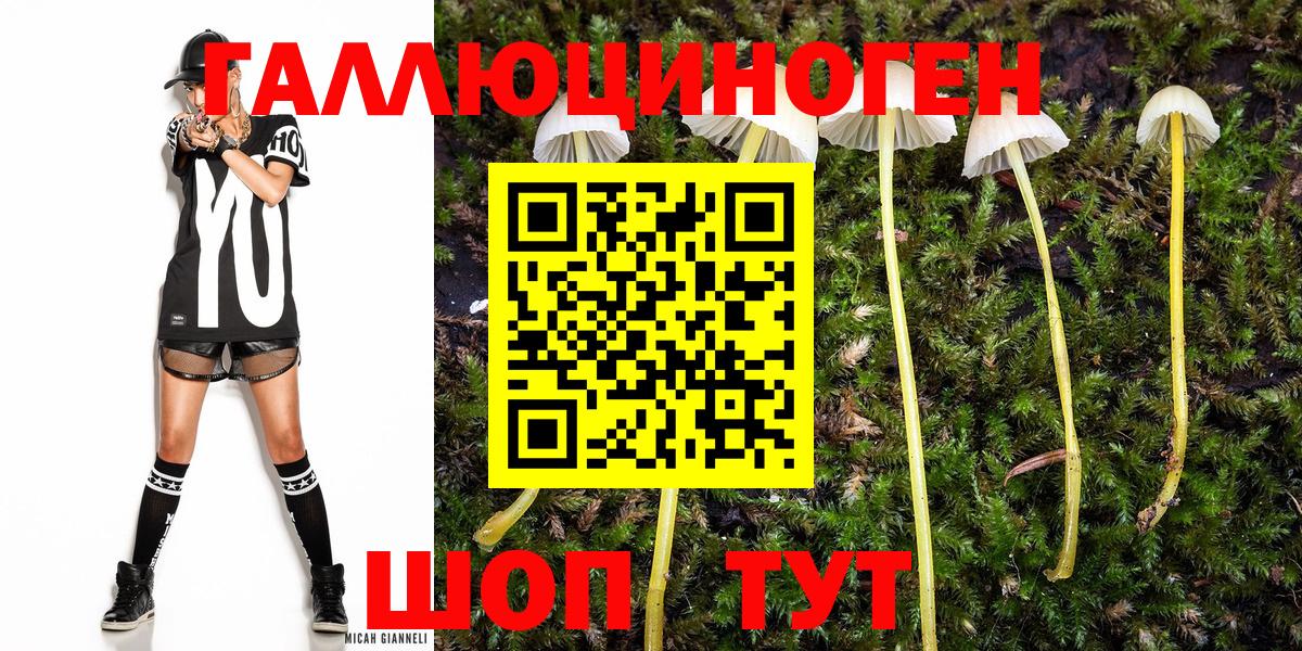 Галлюциногенные грибы Cubensis Амурск